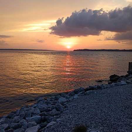 The Gemini-A Dreamy, Waterfront Tiny Cabin Rogersville Εξωτερικό φωτογραφία
